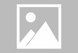 赤狐手游爆料最新消息,神秘狐妖降临，奇幻冒险即将开启！